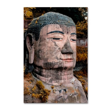 Philippe Hugonnard 'Giant Buddha VI' Canvas Art,22x32